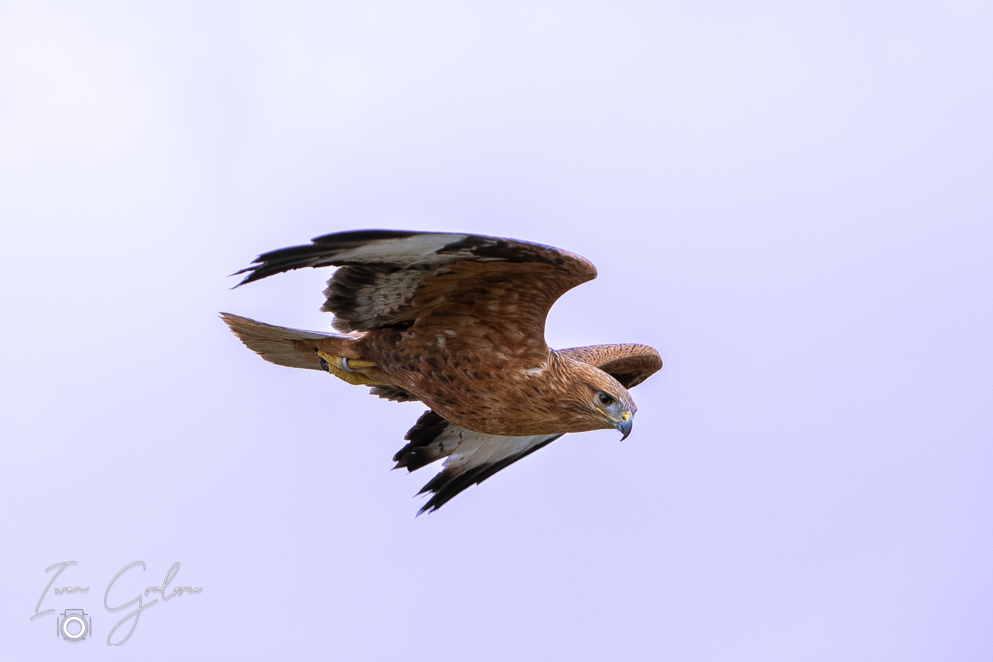 01 april 2022 120449 1DX47383